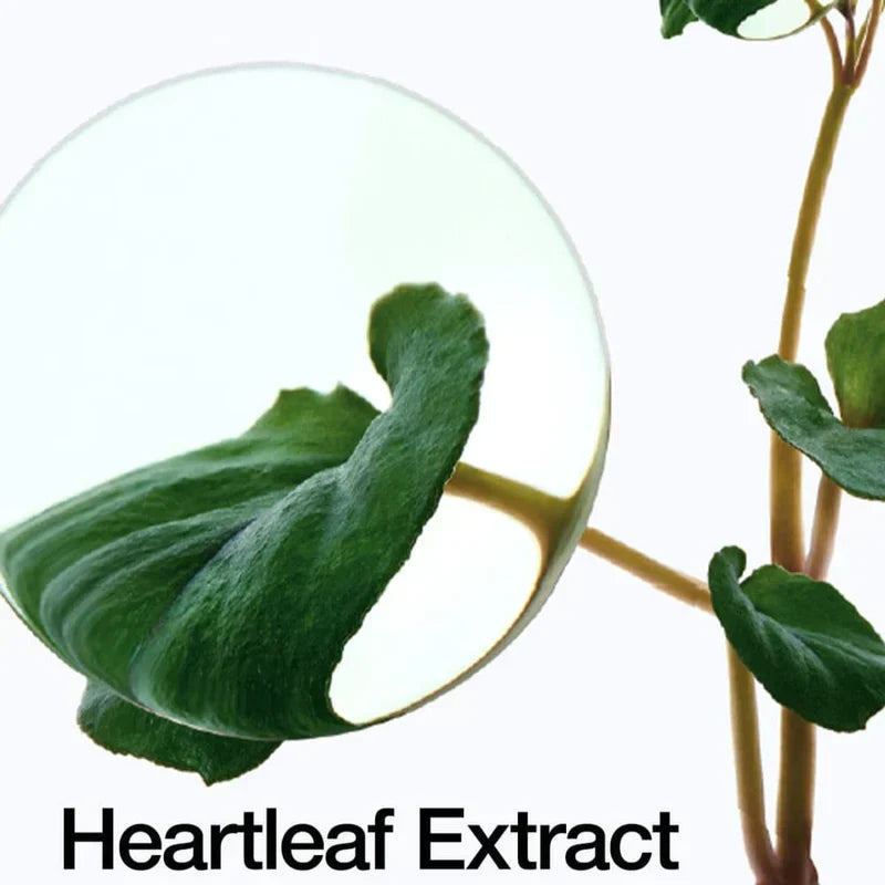 ANUA heartleaf 77% soothing toner 250ml